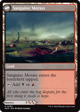 Bloodsoaked Insight // Sanguine Morass (MH3-252) - Modern Horizons 3 Foil [Uncommon]