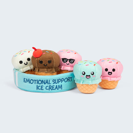 Emotional Support: Ice Cream