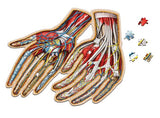 Puzzle - Genius Games - Dr Livingston: Human Hands (512 Pieces)