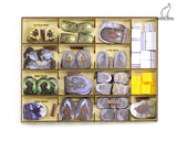 Gaming Trunk - Lion Jaws Organizer compatible with Gloomhaven: Jaws of the Lion (Natural Unstained)