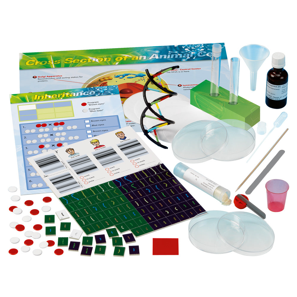 Genetics & DNA Lab *PRE-ORDER*