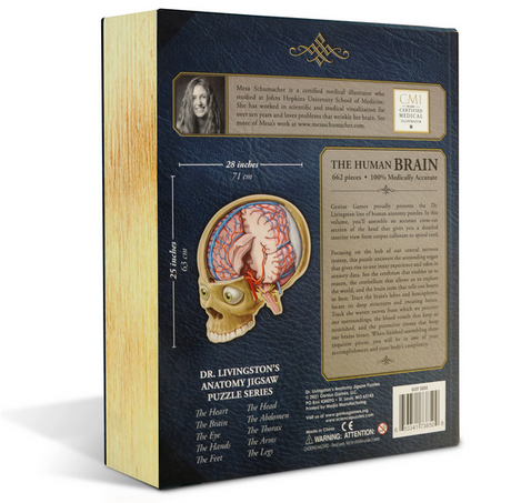 Puzzle - Genius Games - Dr Livingston: Human Brain (662 Pieces)