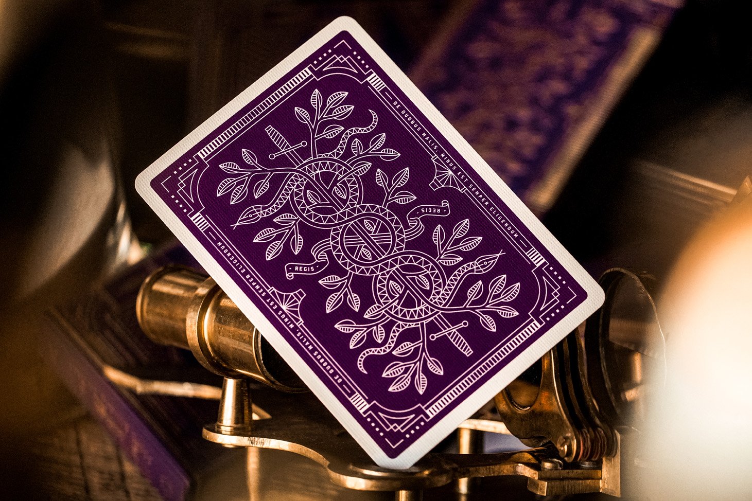 Bicycle Playing Cards - Theory-11 Purple Monarchs