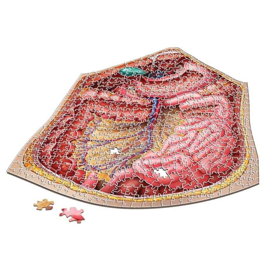 Puzzle - Genius Games - Dr Livingston: Human Abdomen (577 Pieces)