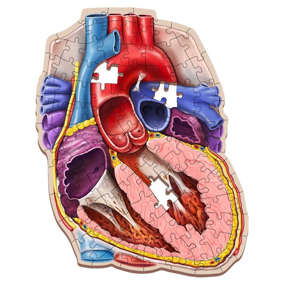 Puzzle - Genius Games - Dr Livingston Jr.: Human Heart (100 Pieces)