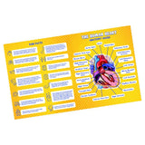 Puzzle - Genius Games - Dr Livingston Jr.: Human Heart (100 Pieces)