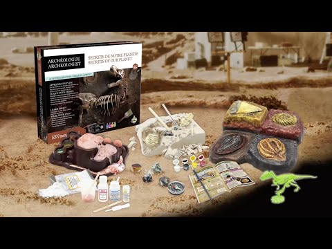 The Archeologist - Secrets of our Planet