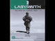 Labyrinth: The War on Terror, 2001 - ? (5th Printing)