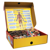 Puzzle - Genius Games - Dr Livingston Jr.: Human Body Floor Puzzle (100 Pieces)