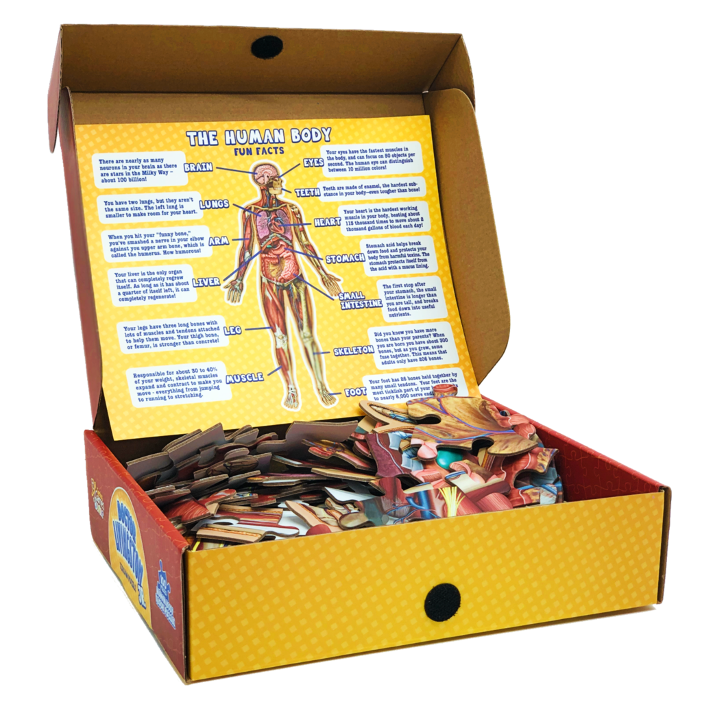 Puzzle - Genius Games - Dr Livingston Jr.: Human Body Floor Puzzle (100 Pieces)