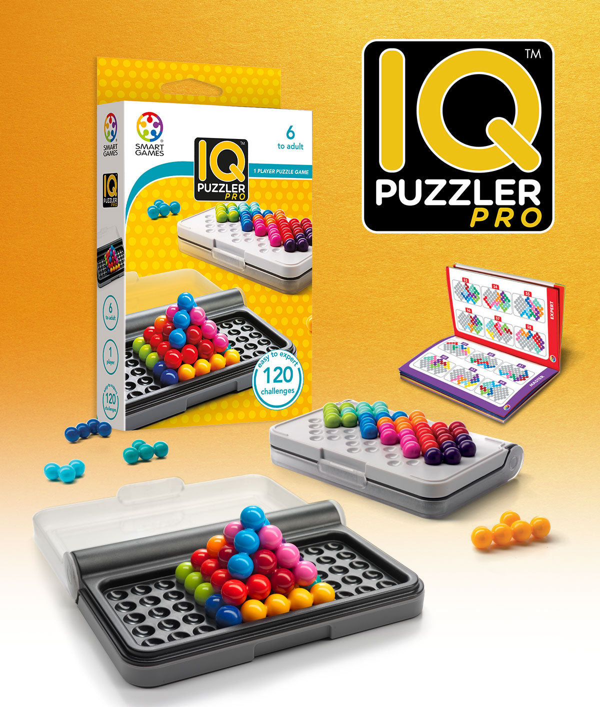 Smart Games: IQ Puzzler Pro